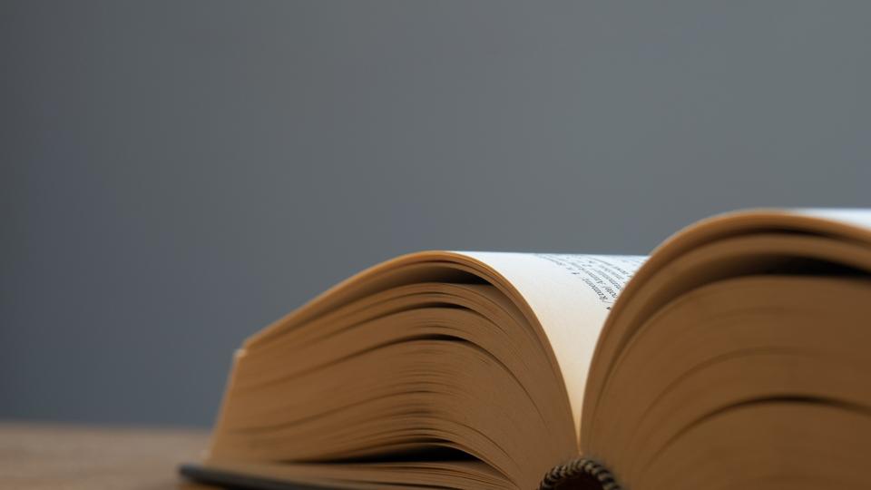 Haiwan Bedeutung: Entdeckungsreise in die Tiefe der Sprache
